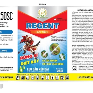 regent