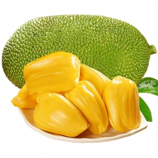 mit-thai