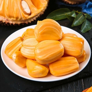 mit-nghe