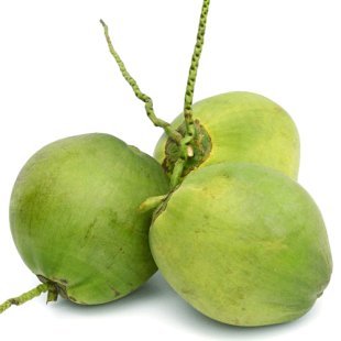 dua-tuoi-con-vo