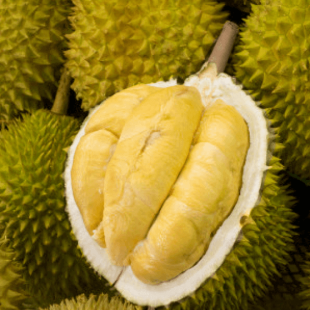 sau-rieng-thai-sau-rieng-dona