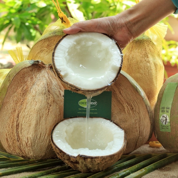 Dừa sáp