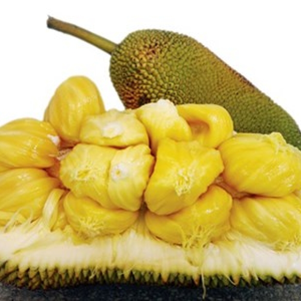Mít Tố Nữ