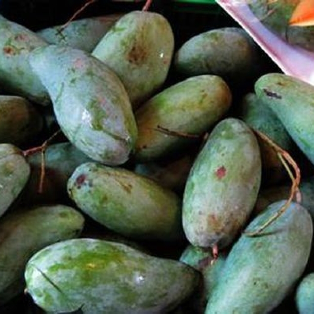 Xoài Thái